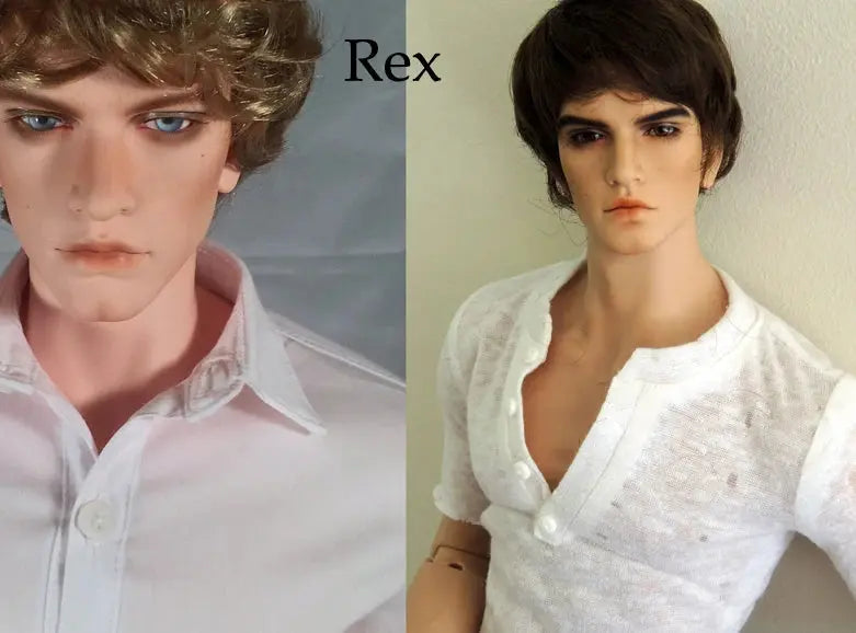 1/3 Scale BJD Boy Doll – 49.5cm Resin Fashion Doll with Bare Eyes and Faceup – Arvid Rex curiosity.collections