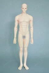 1/3 Scale BJD Boy Doll – 49.5cm Resin Fashion Doll with Bare Eyes and Faceup – Arvid Rex curiosity.collections